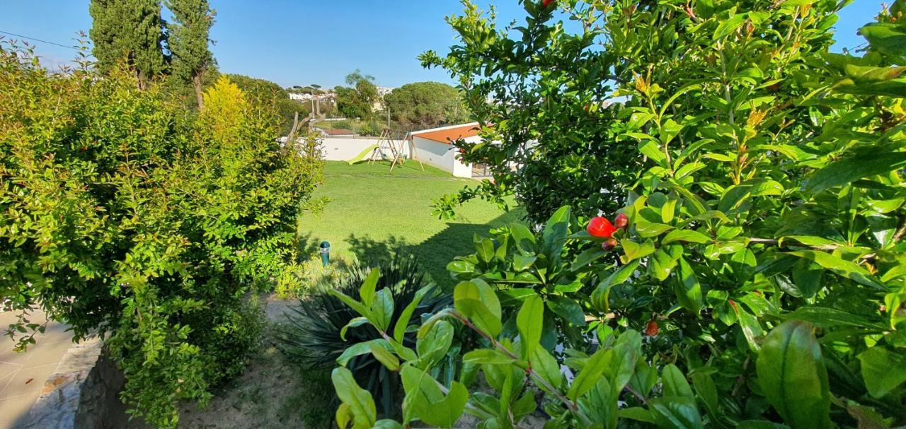 אלבופיירה Villa Margarida By Laranjal Rentals מראה חיצוני תמונה
